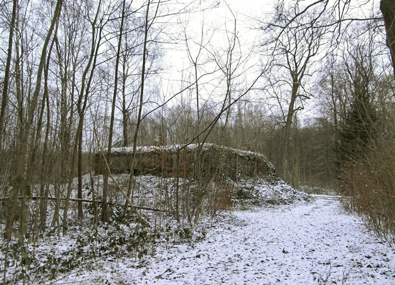 Ligne Maginot - A26-B - FONTAINE EST - (Blockhaus pour canon) -  - François MATHOT