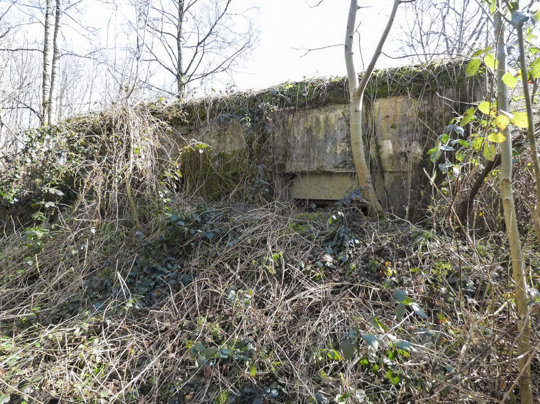Ligne Maginot - A26-B - FONTAINE EST - (Blockhaus pour canon) -  - JMBrams