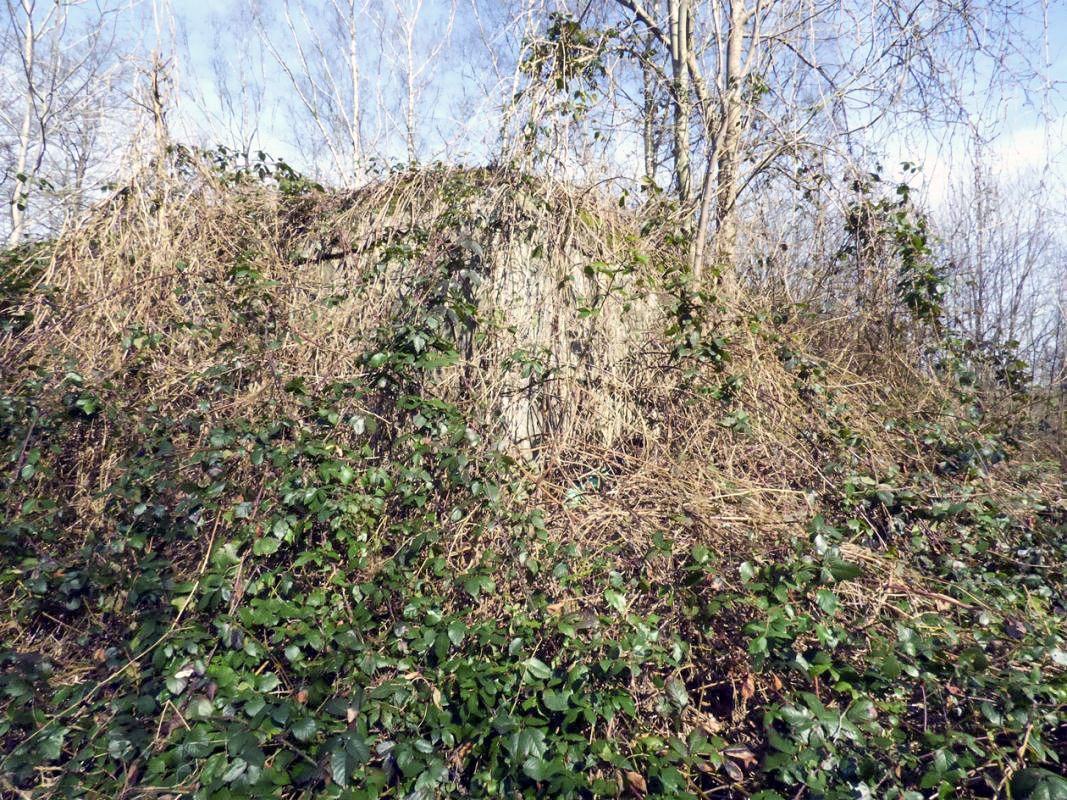 Ligne Maginot - A26-B - FONTAINE EST - (Blockhaus pour canon) -  - JMBrams