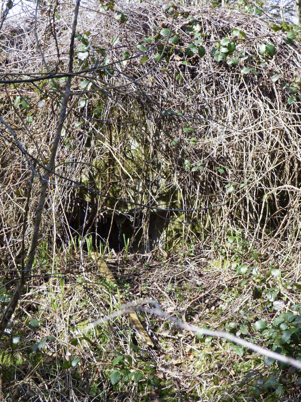 Ligne Maginot - A26-B - FONTAINE EST - (Blockhaus pour canon) -  - JMBrams