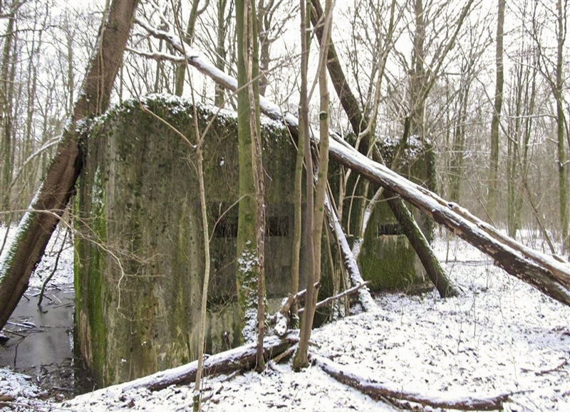 Ligne Maginot - Blockhaus A26-C - Ba16 -  - François MATHOT