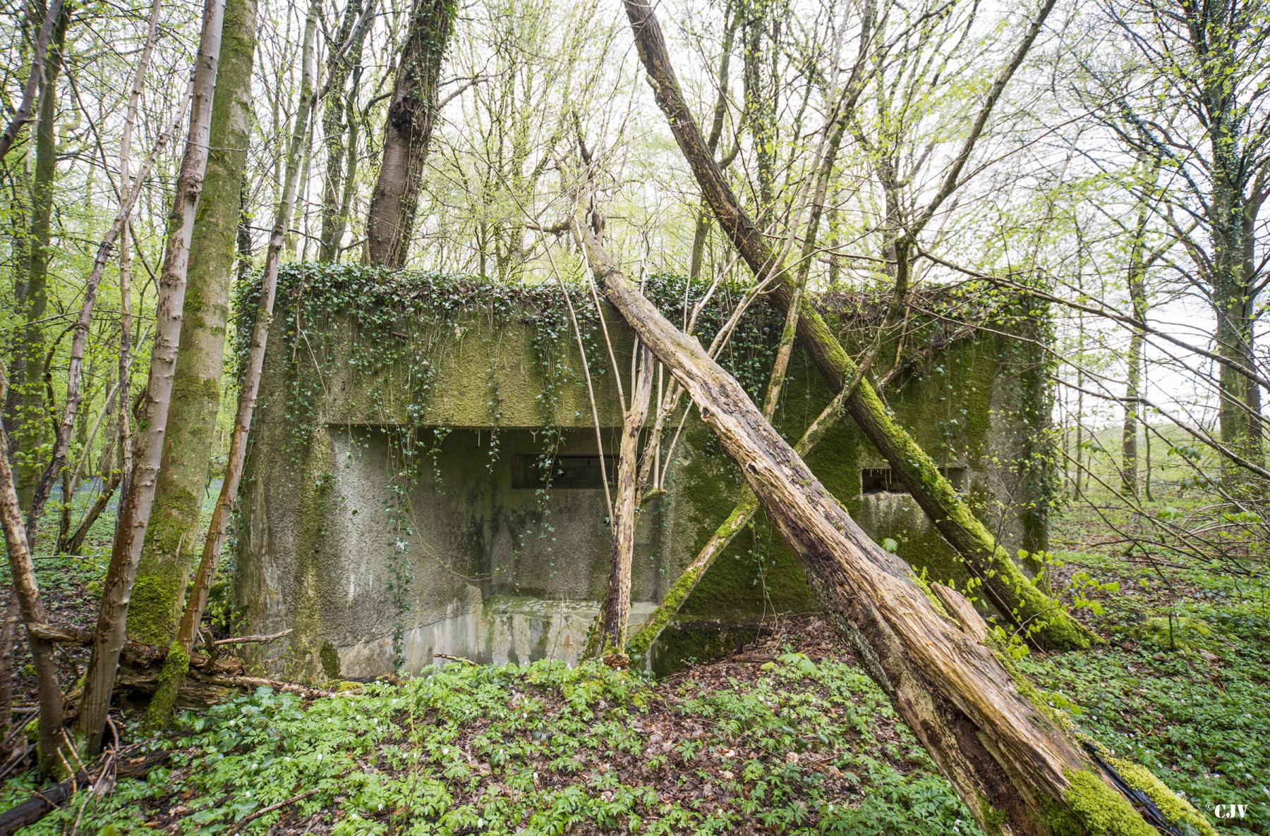 Ligne Maginot - Blockhaus A26-C Fontaine Est -  - Lia VERMEULEN