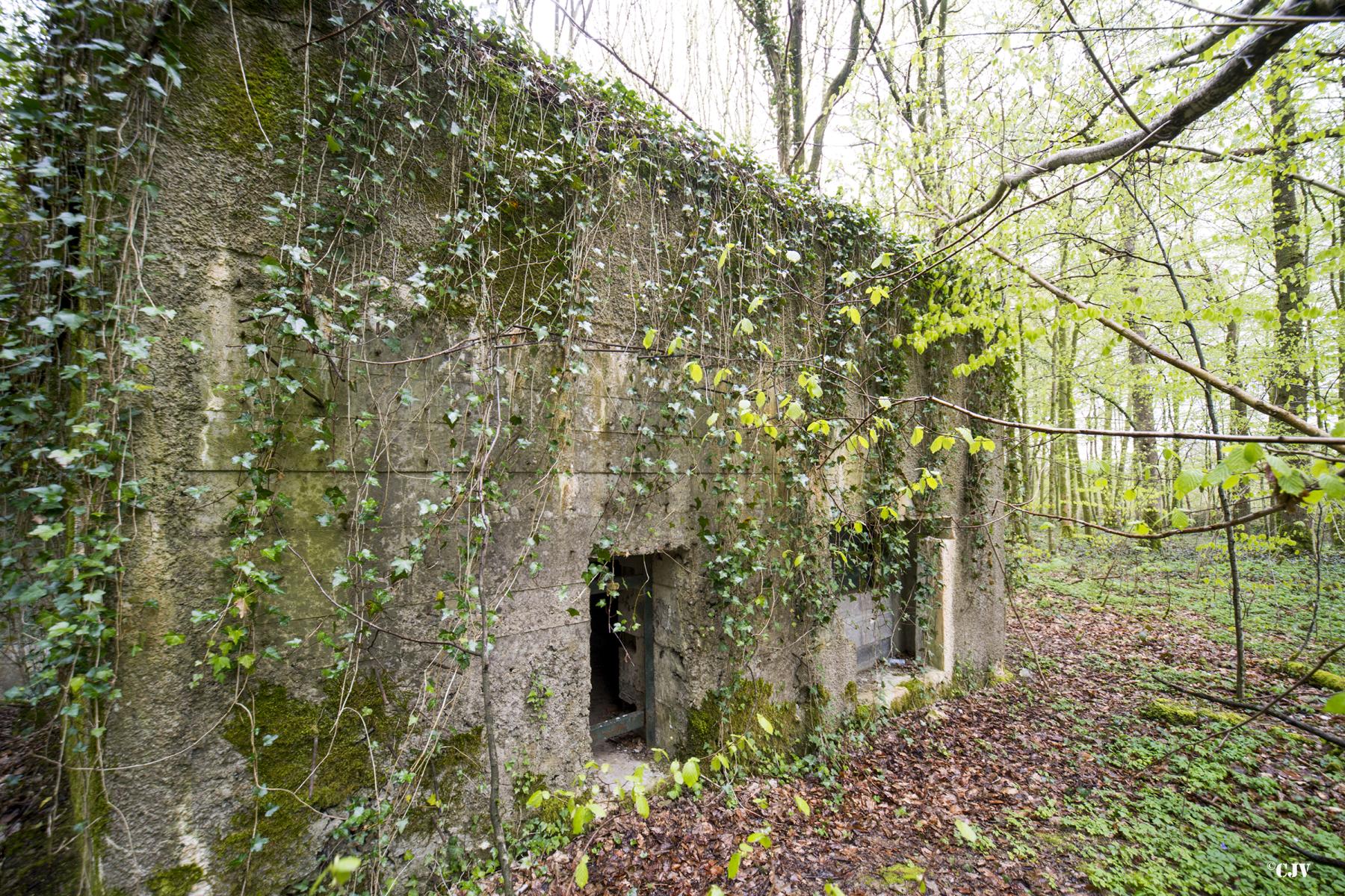 Ligne Maginot - Blockhaus A26-C Fontaine Est -  - Lia VERMEULEN