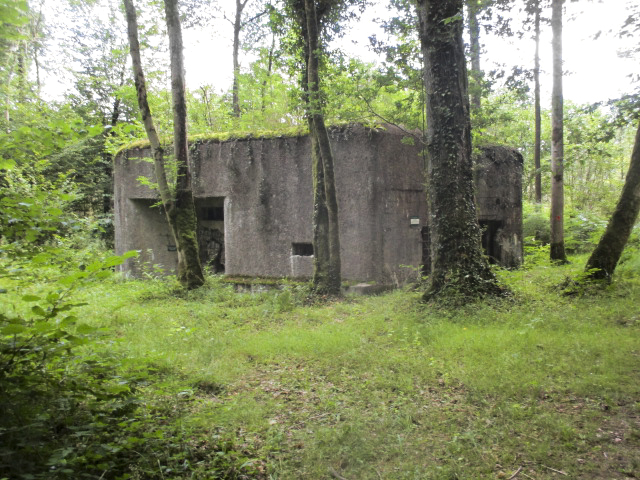 Ligne Maginot - A26 - FURET - (Blockhaus pour canon) - Blockhaus situé dans son environnement - Randonneur62