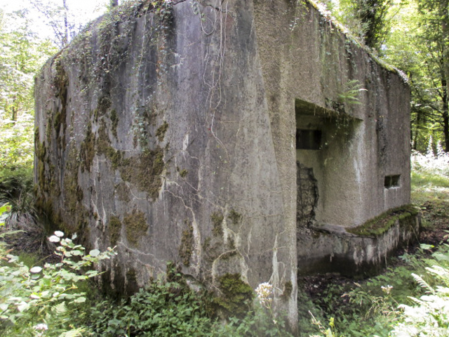Ligne Maginot - A26 - FURET - (Blockhaus pour canon) -  - Randonneur62