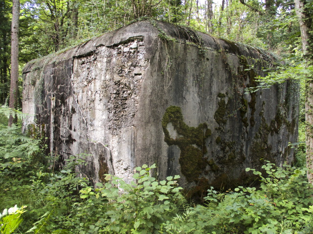 Ligne Maginot - A26 - FURET - (Blockhaus pour canon) -  - Randonneur62