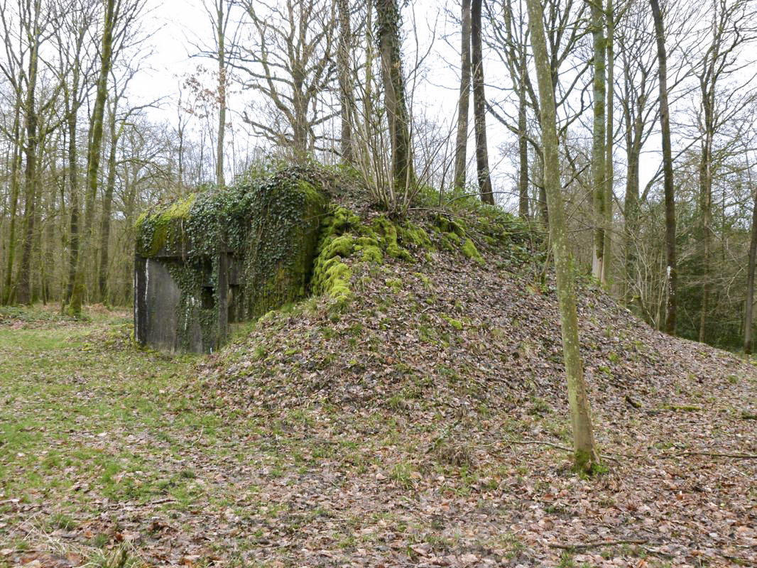 Ligne Maginot - A27 - ROUTE DE L'INSPECTEUR OUEST - (Blockhaus pour canon) -  - JMBrams