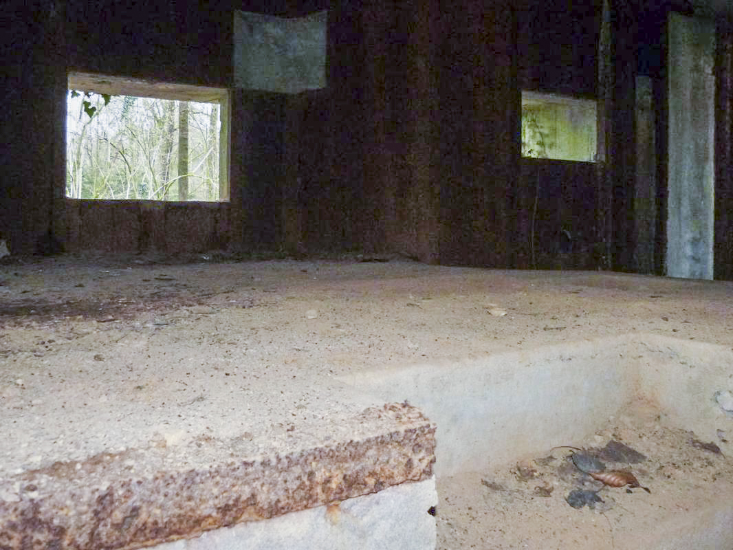 Ligne Maginot - A27 - ROUTE DE L'INSPECTEUR OUEST - (Blockhaus pour canon) -  - JMBrams