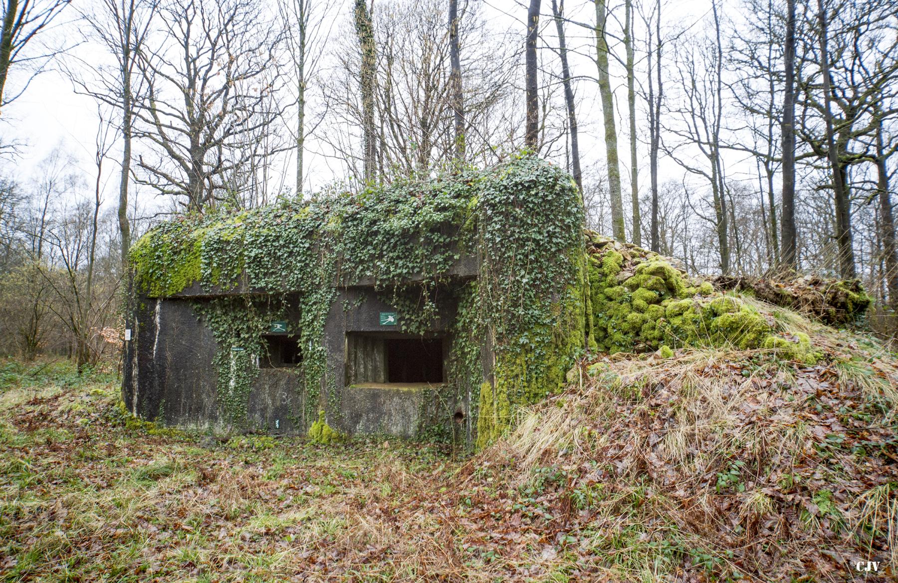 Ligne Maginot - A27 - ROUTE DE L'INSPECTEUR OUEST - (Blockhaus pour canon) -  - Lia VERMEULEN