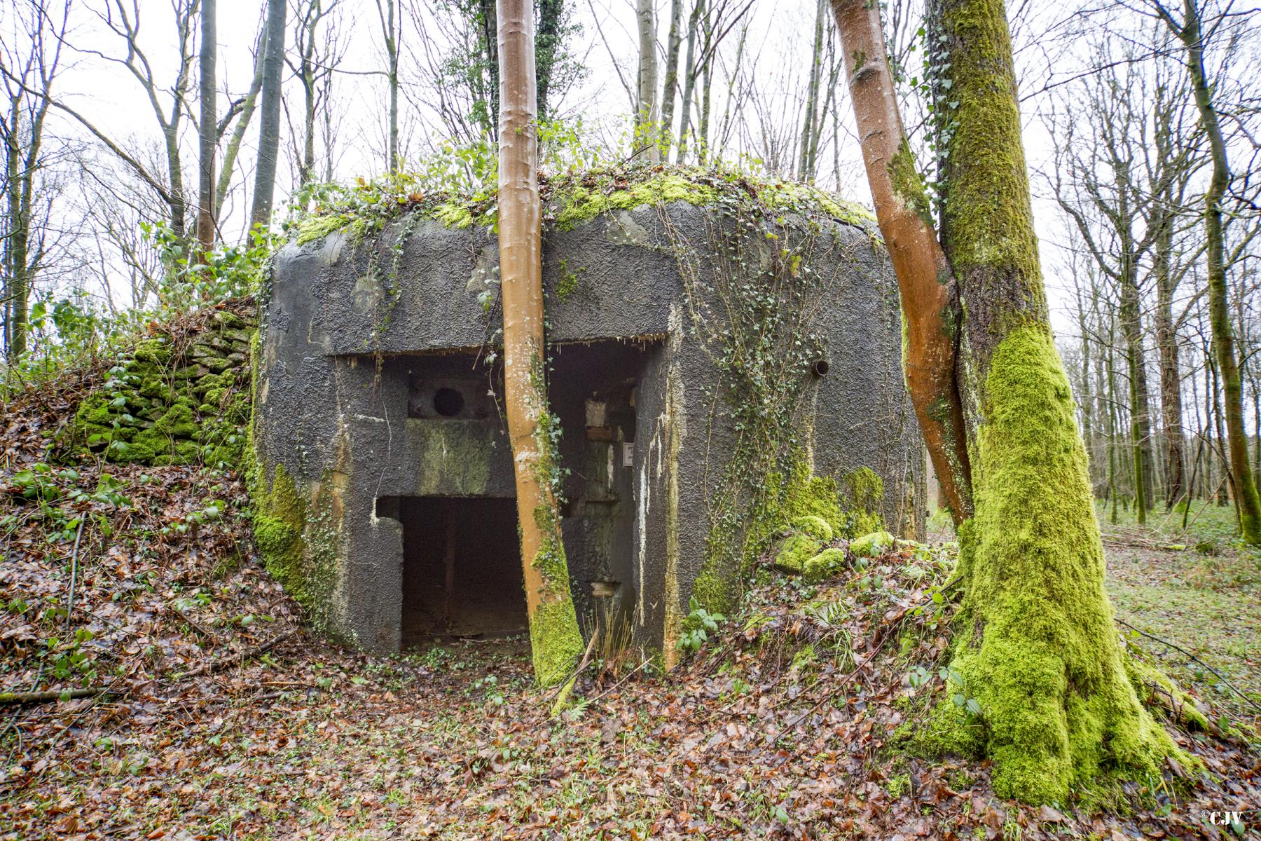Ligne Maginot - A28 - ROUTE DE L'INSPECTEUR EST - (Blockhaus pour canon) -  - Lia VERMEULEN