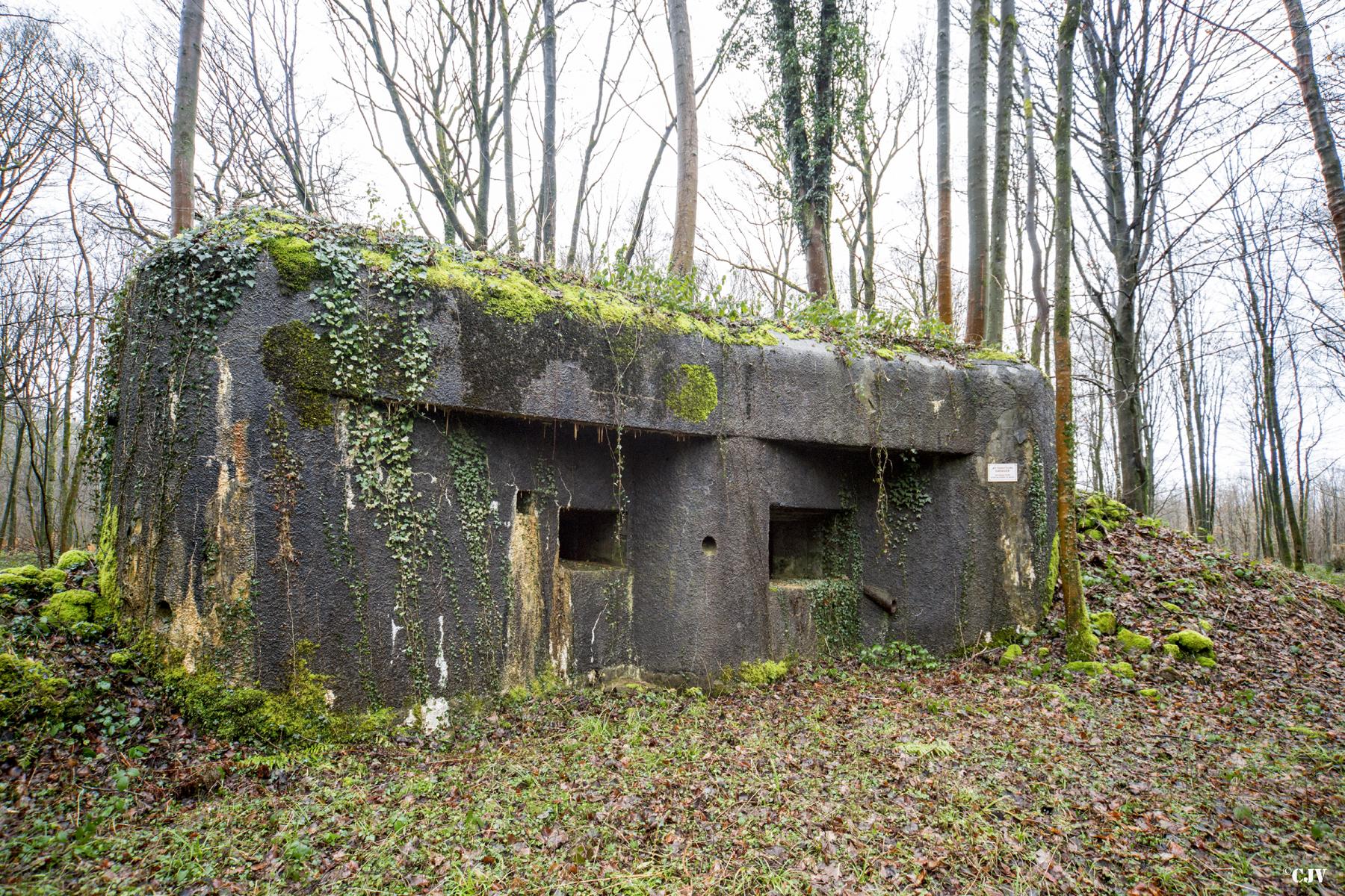 Ligne Maginot - A28 - ROUTE DE L'INSPECTEUR EST - (Blockhaus pour canon) -  - Lia VERMEULEN