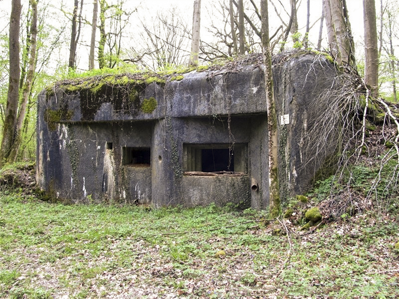 Ligne Maginot - A28 - ROUTE DE L'INSPECTEUR EST - (Blockhaus pour canon) -  - François MATHOT