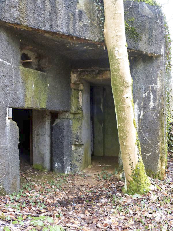 Ligne Maginot - A28 - ROUTE DE L'INSPECTEUR EST - (Blockhaus pour canon) -  - JMBrams