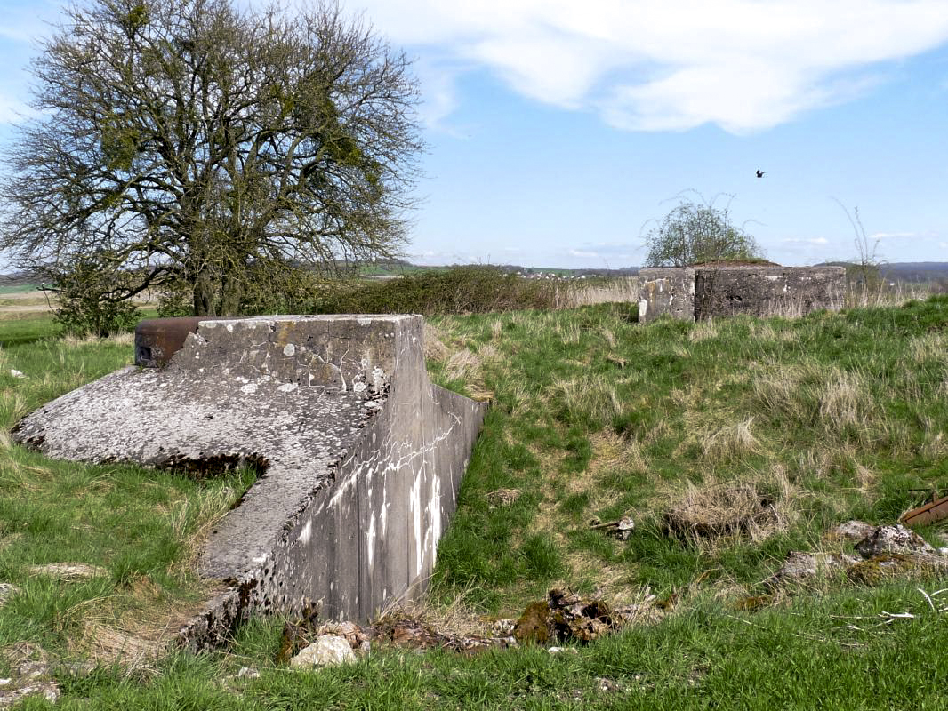 Ligne Maginot - TATTENHOLZ  - (Observatoire d'infanterie) -  - Sylvie Laure LAMBERT