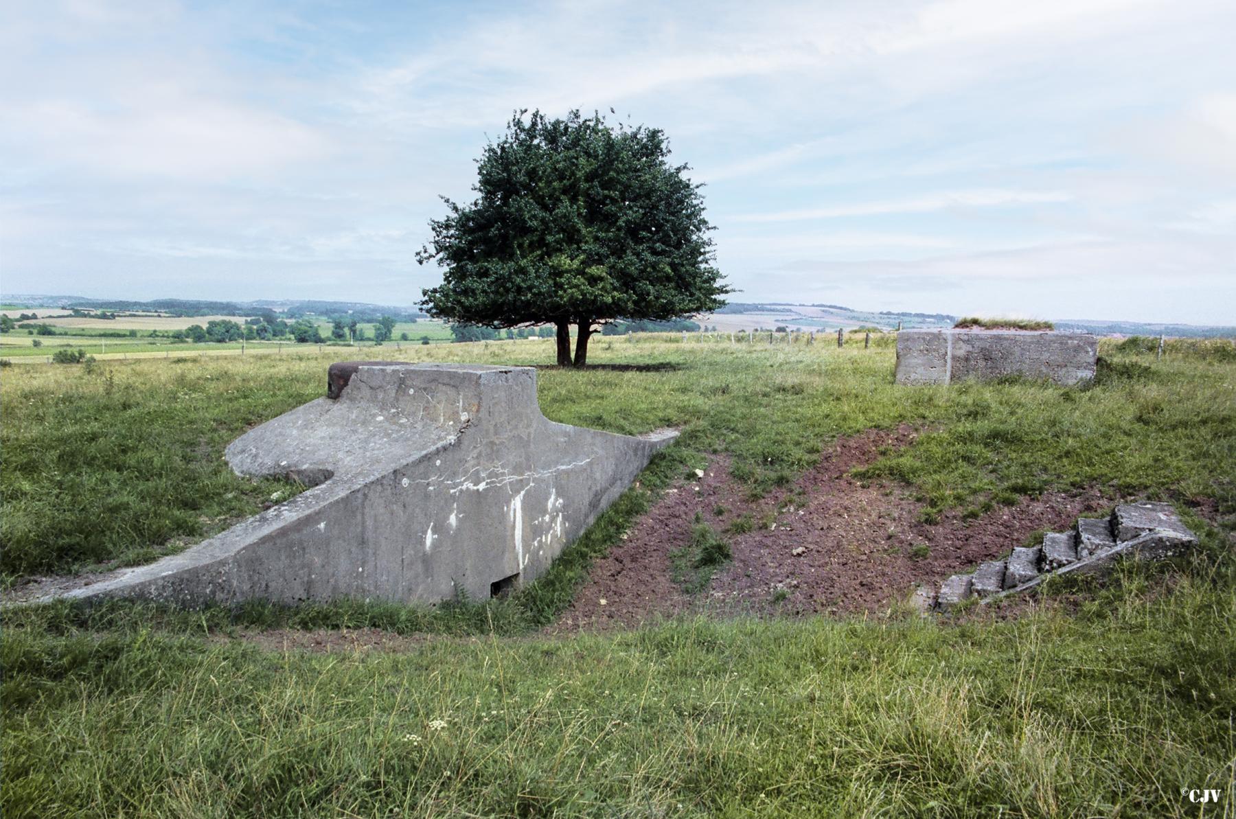 Ligne Maginot - Observatoire du Tattenholz - Les deux observatoires - Lia VERMEULEN