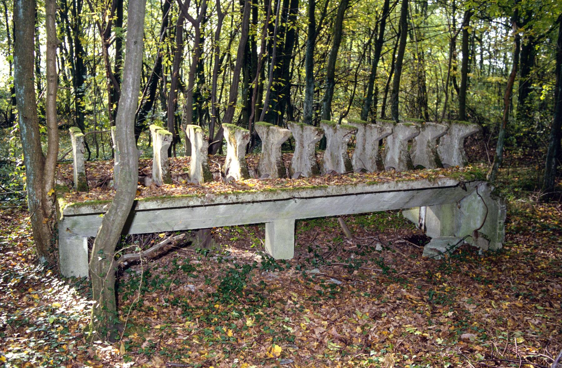 Ligne Maginot - TETING - (Casernement) -  - MANSUY Michel