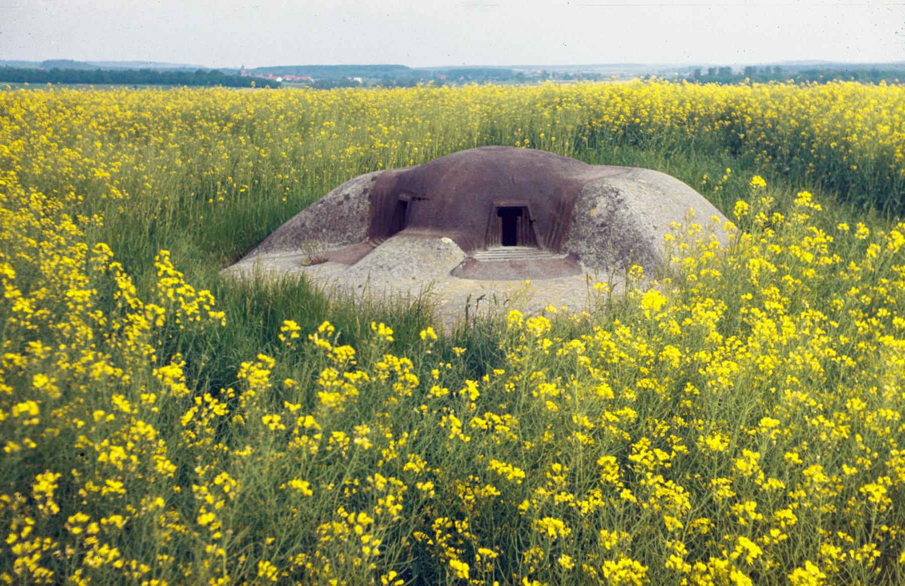 Ligne Maginot - ACP1 - (Blockhaus pour arme infanterie) -  - MANSUY Michel