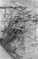 Ligne Maginot - OBERROEDERN NORD - (Casemate d'infanterie - Double) - Photo prise après les combats
La façade percée par l'explosion d'une bombe en avant du fossé