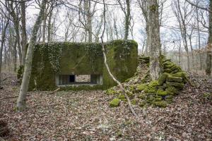 Ligne Maginot - BOIS DE TETING NORD - (Blockhaus pour canon) - 