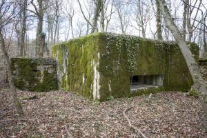 Ligne Maginot - BOIS DE TETING NORD - (Blockhaus pour canon) - 