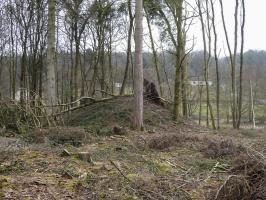 Ligne Maginot - A33 - GRAVIER DE L'AISNE - (Blockhaus pour canon) - 