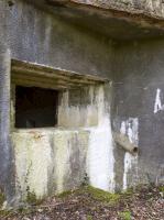 Ligne Maginot - A33 - GRAVIER DE L'AISNE - (Blockhaus pour canon) - 