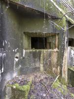 Ligne Maginot - A34 - GRAVIER DU BOIS - (Blockhaus pour canon) - 