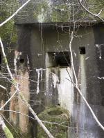 Ligne Maginot - A34 - GRAVIER DU BOIS - (Blockhaus pour canon) - 