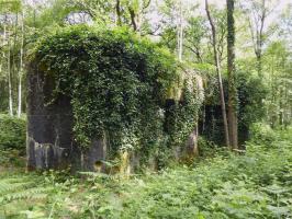 Ligne Maginot - A37 - LA PISSELOTTE - (Blockhaus pour canon) - 