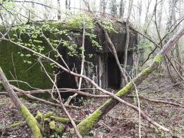 Ligne Maginot - A37 - LA PISSELOTTE - (Blockhaus pour canon) - 