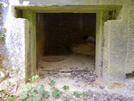 Ligne Maginot - A37 - LA PISSELOTTE - (Blockhaus pour canon) - 