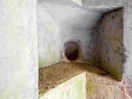 Ligne Maginot - A37 - LA PISSELOTTE - (Blockhaus pour canon) - 