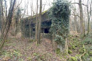 Ligne Maginot - A37 - LA PISSELOTTE - (Blockhaus pour canon) - 