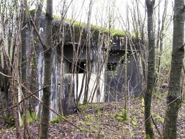 Ligne Maginot - A38 - GRAND MARAIS OUEST - (Blockhaus pour canon) - 