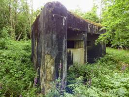 Ligne Maginot - A38 - GRAND MARAIS OUEST - (Blockhaus pour canon) - 