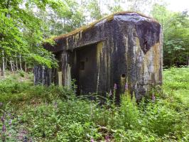Ligne Maginot - A38 - GRAND MARAIS OUEST - (Blockhaus pour canon) - 