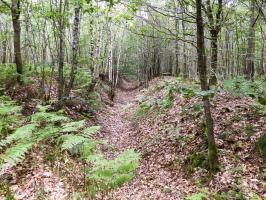Ligne Maginot - A38 - GRAND MARAIS OUEST - (Blockhaus pour canon) - 