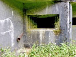 Ligne Maginot - A39 - GRAND MARAIS EST - (Blockhaus pour canon) - 