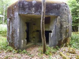 Ligne Maginot - A39 - GRAND MARAIS EST - (Blockhaus pour canon) - 