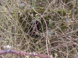 Ligne Maginot - B773 - MORANRIEUX - (Abri) - 