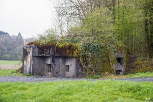 Ligne Maginot - A42 - ROUTE DE SIGNY - (Blockhaus pour canon) - 