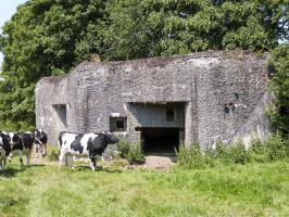 Ligne Maginot - A43 - CROIX MAJOT NORD - (Blockhaus pour canon) - 
