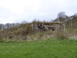 Ligne Maginot - A44 - REGNIOWEZ - (Blockhaus pour canon) - 
