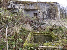 Ligne Maginot - A44 - REGNIOWEZ - (Blockhaus pour canon) - 