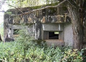 Ligne Maginot - A44 - REGNIOWEZ - (Blockhaus pour canon) - 