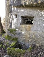 Ligne Maginot - A44 - REGNIOWEZ - (Blockhaus pour canon) - 