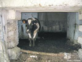 Ligne Maginot - A45 - CHATEAU ROUGE OUEST - (Blockhaus pour canon) - ....changement de propriétaire !