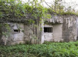Ligne Maginot - A46 - CHATEAU ROUGE EST - (Blockhaus pour canon) - 