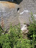 Ligne Maginot - A47 - SART MOREAUX - (Blockhaus pour canon) - 