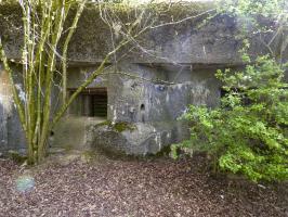Ligne Maginot - A53 - BELHOMME - (Blockhaus pour canon) - 